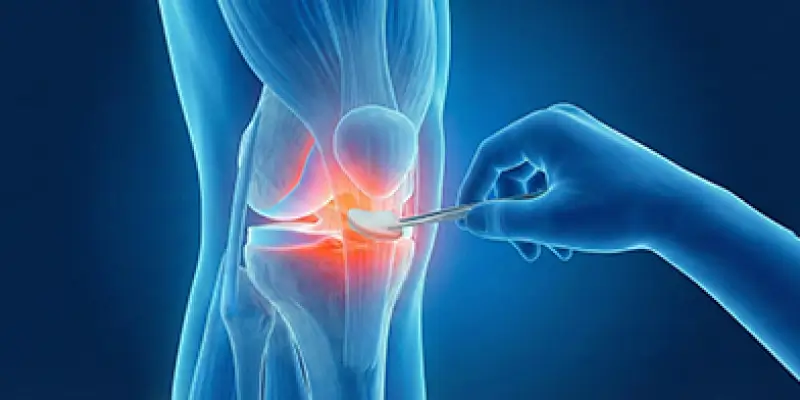 Kıkırdak Nakli ve Onarımı